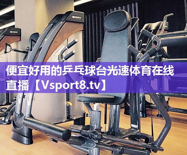 便宜好用的乒乓球台光速体育在线直播