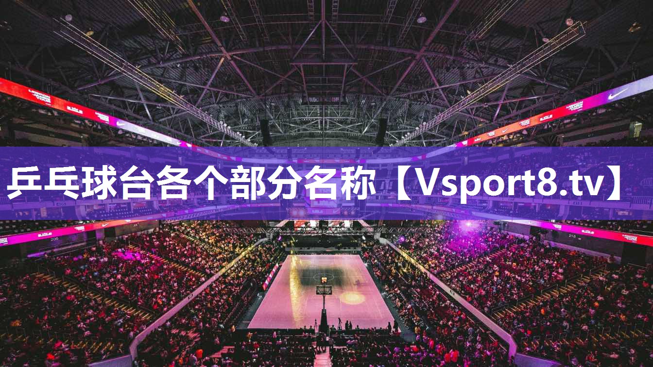 乒乓球台各个部分名称