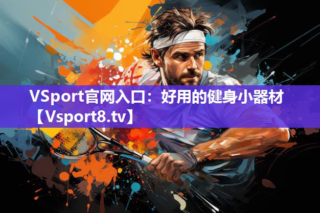 VSport官网入口：好用的健身小器材