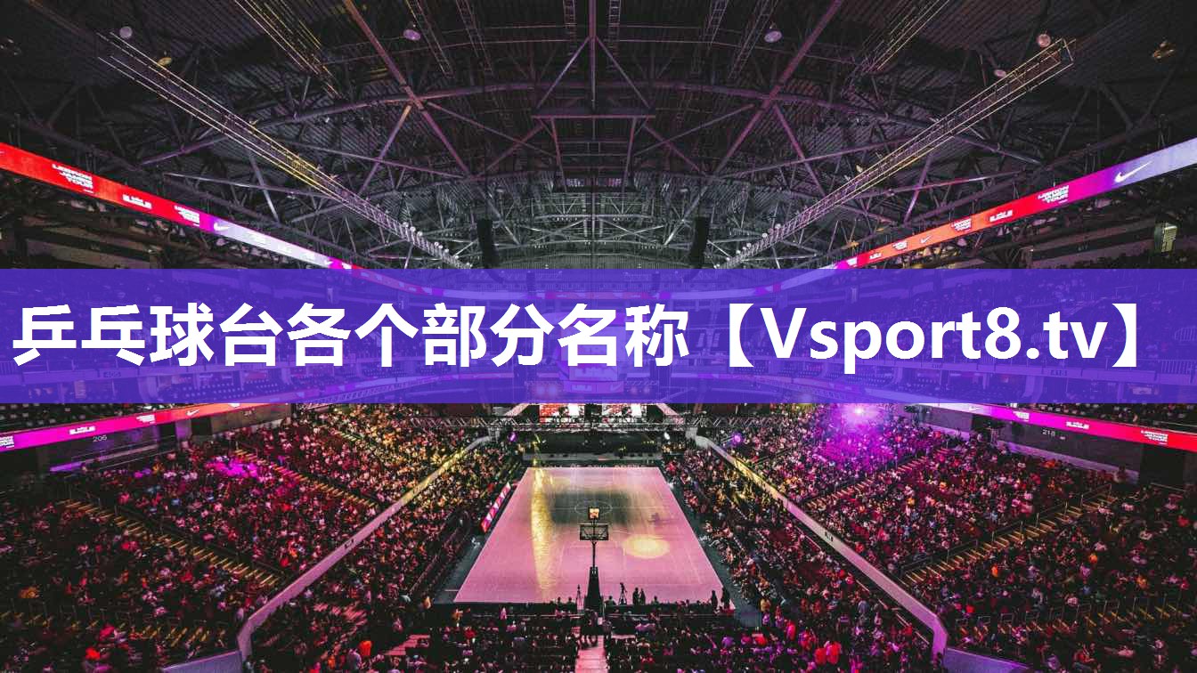 乒乓球台各个部分名称